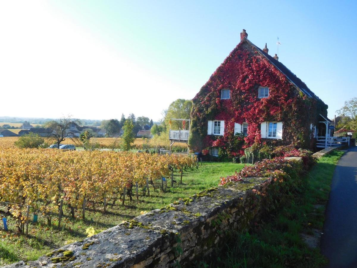 La Passerelle Des Corton B&B Aloxe-Corton Exterior foto